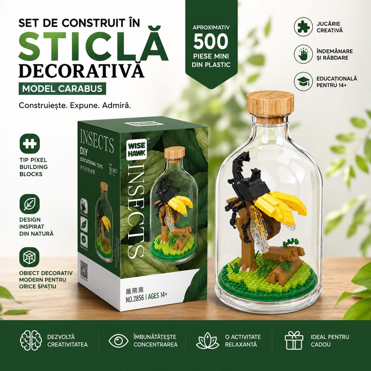 Set de Construit în Sticlă - Cărăbuș - Poza 3