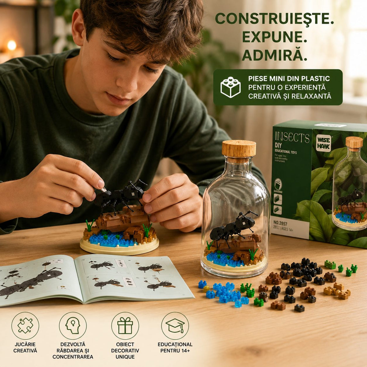 Set de Construit în Sticlă - Furnică - Poza 5