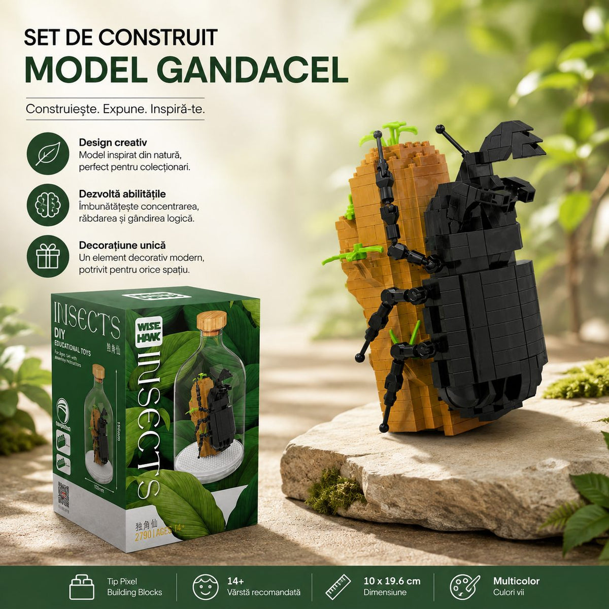 Set de Construit în Sticlă - Gândăcel - Poza 3